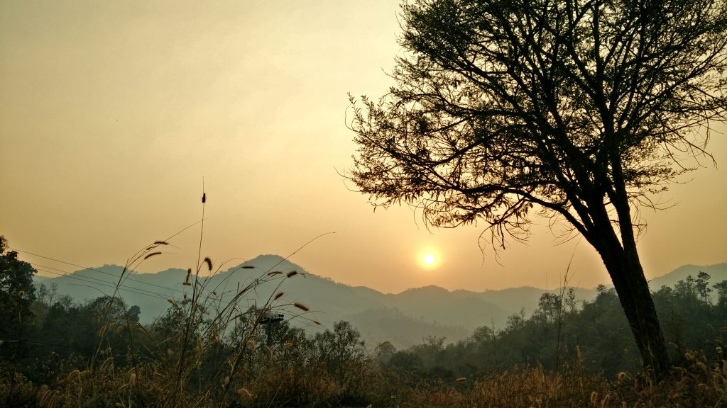 ไม้เรียว…ไม้สุดท้ายของแม่