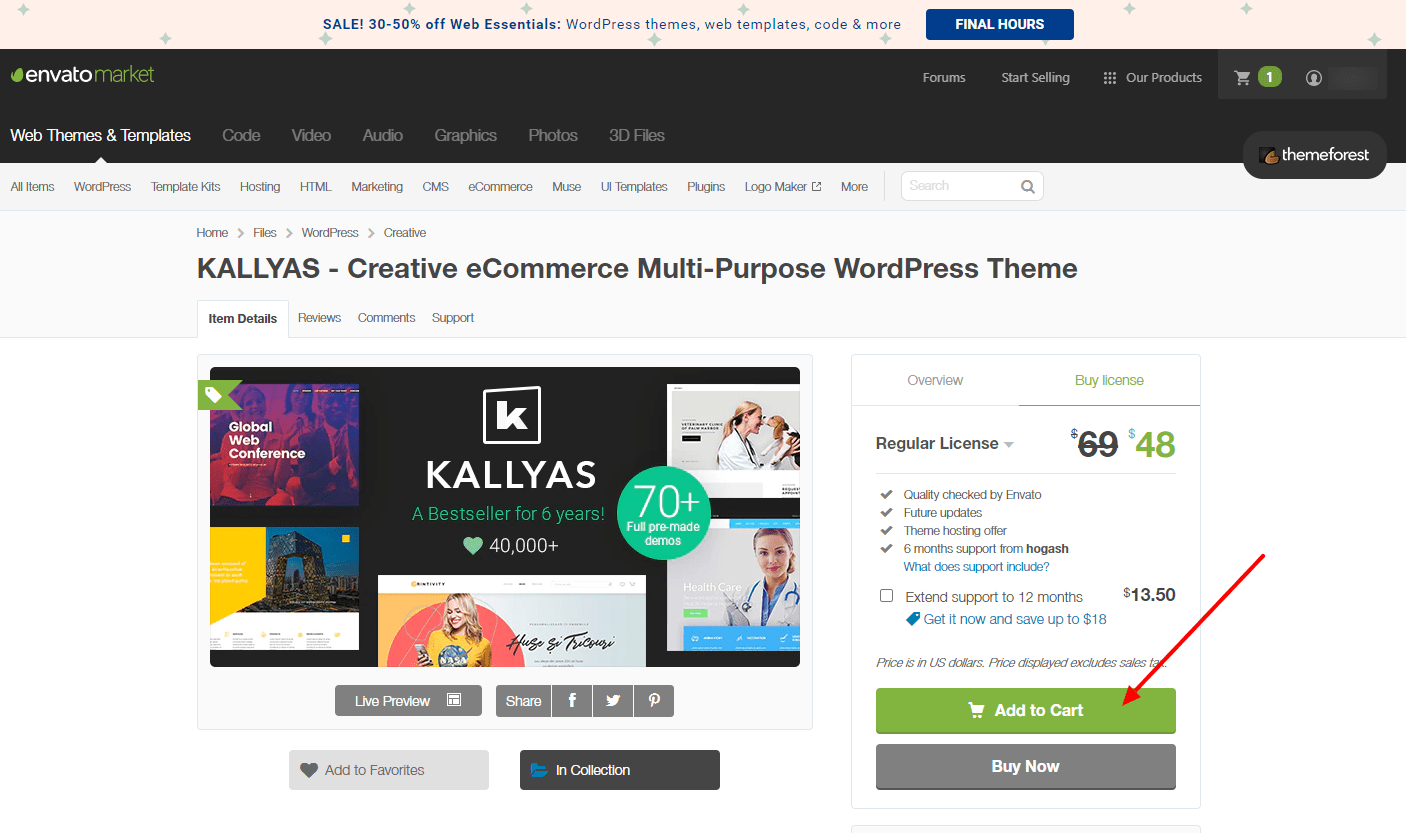 KALLYAS WordPress Theme