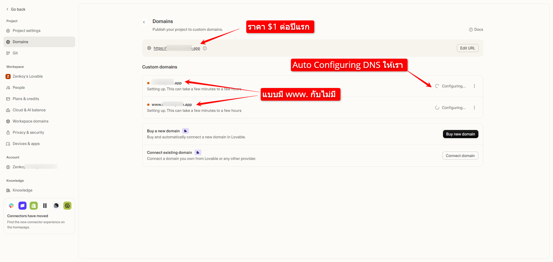 Lovable AutoConfig Domain