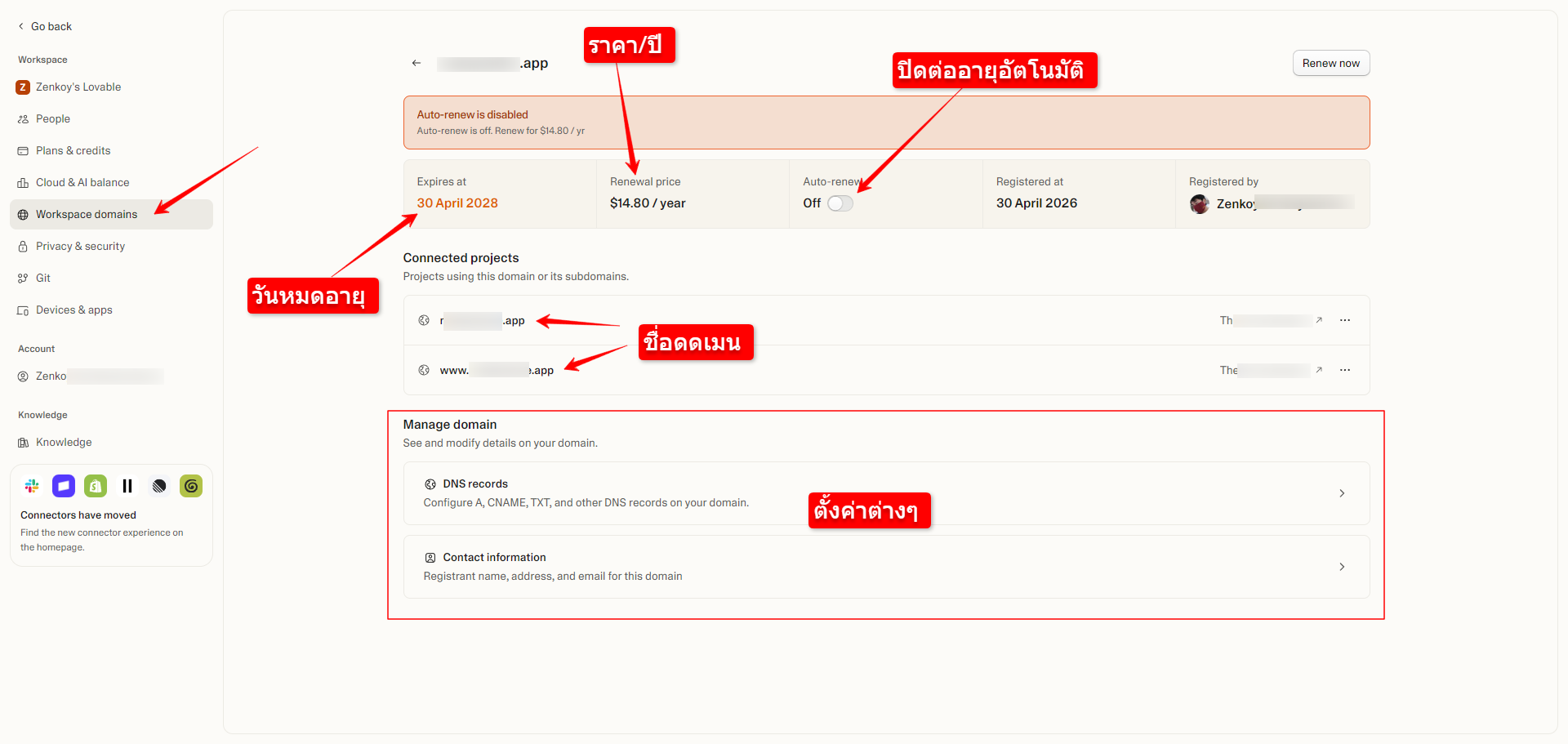 Lovable Config Domain